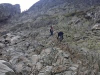 tatry 2016 (10)